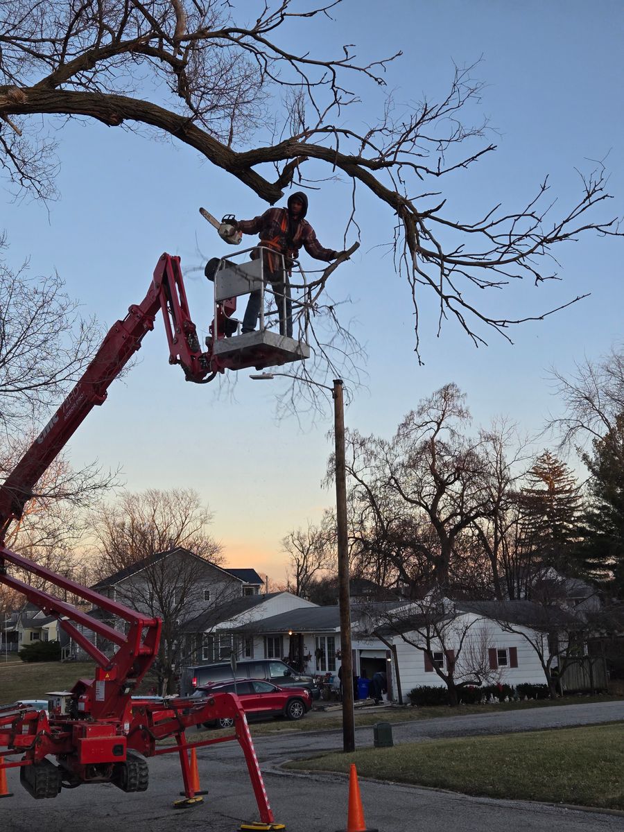 Tree Removal for Lawn Ranger Yard And Tree Service LLC in Ottumwa, IA