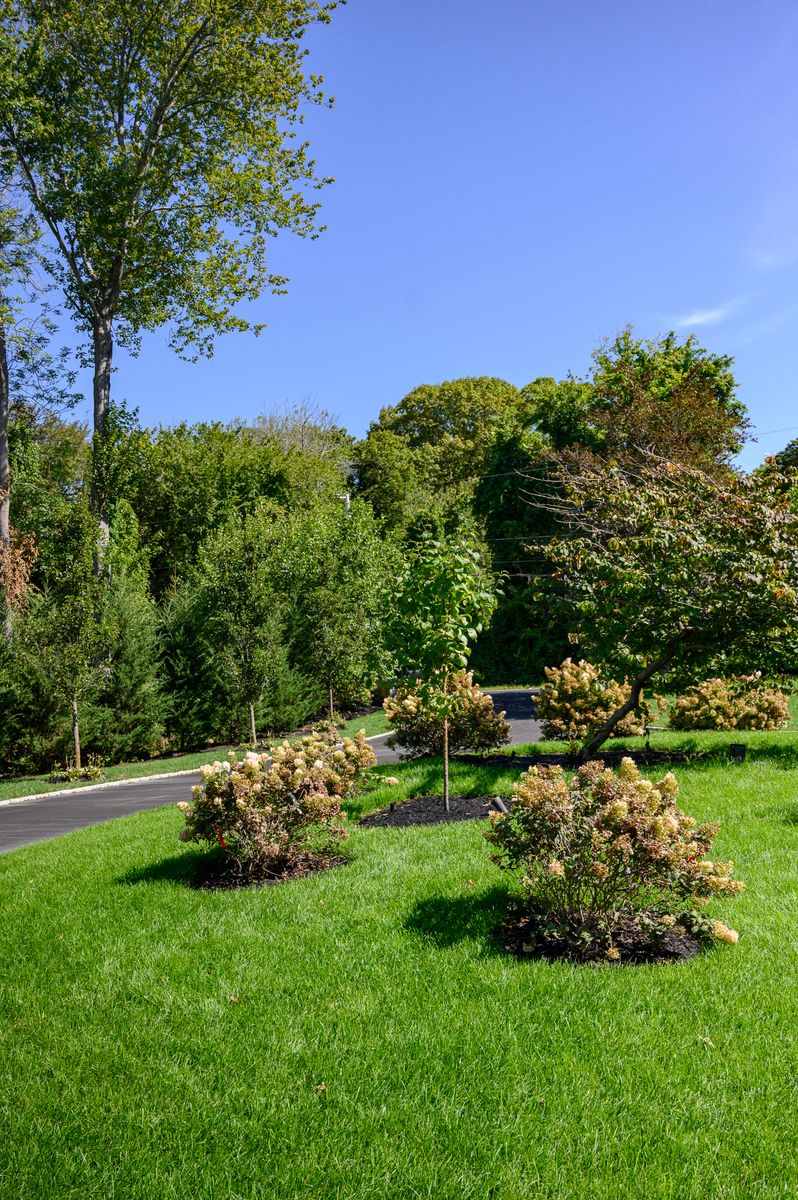 New Lawn Installation for Pungitore Landscapes, Irrigation & Fertilizer in Hingham, MA