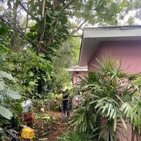 Tree Trimming for Efficient and Reliable Tree Service in Lake Wales, FL