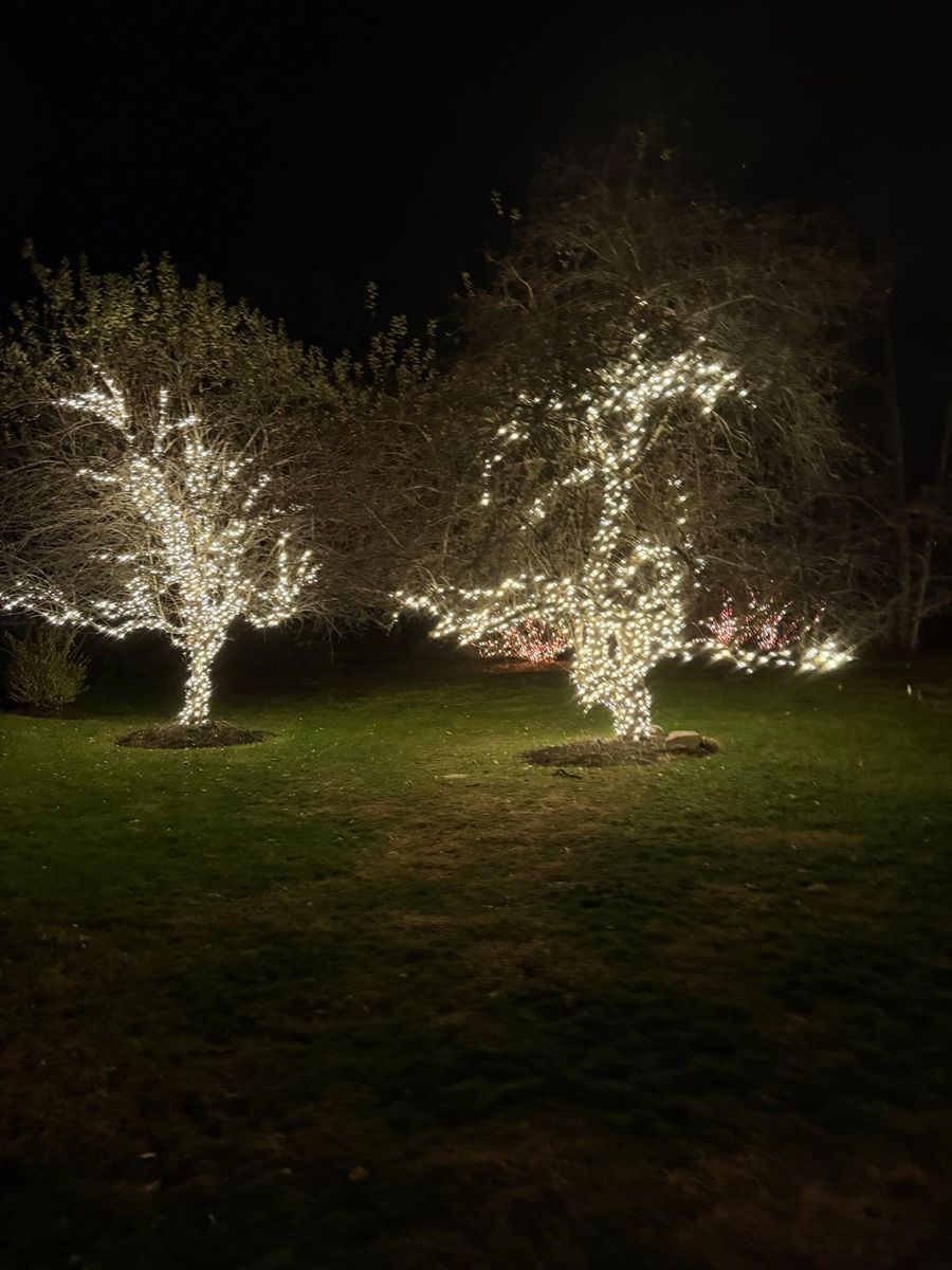 Landscape Lighting for Unique Outdoor Lighting in Short Hills, NJ