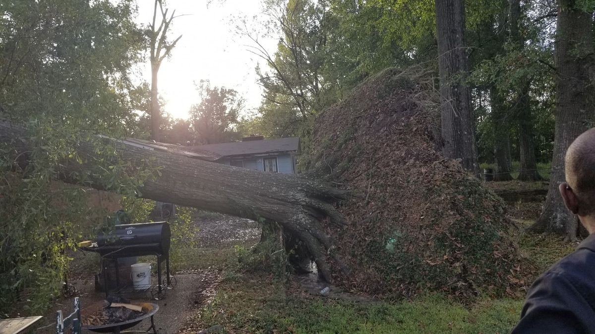 Emergency Storm Services for Action Tree & Debris Removal in Jackson,  MS