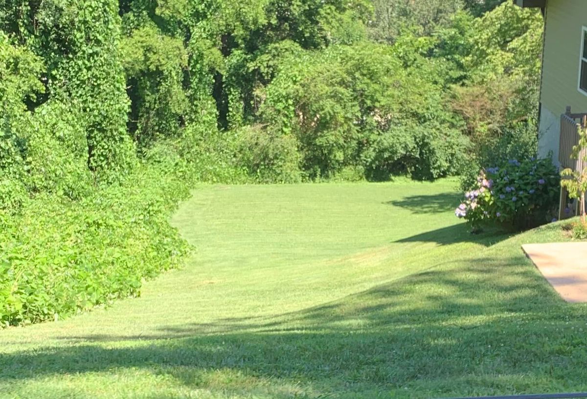 French Drain Install for ValleyScapes Landscaping in Walden, TN