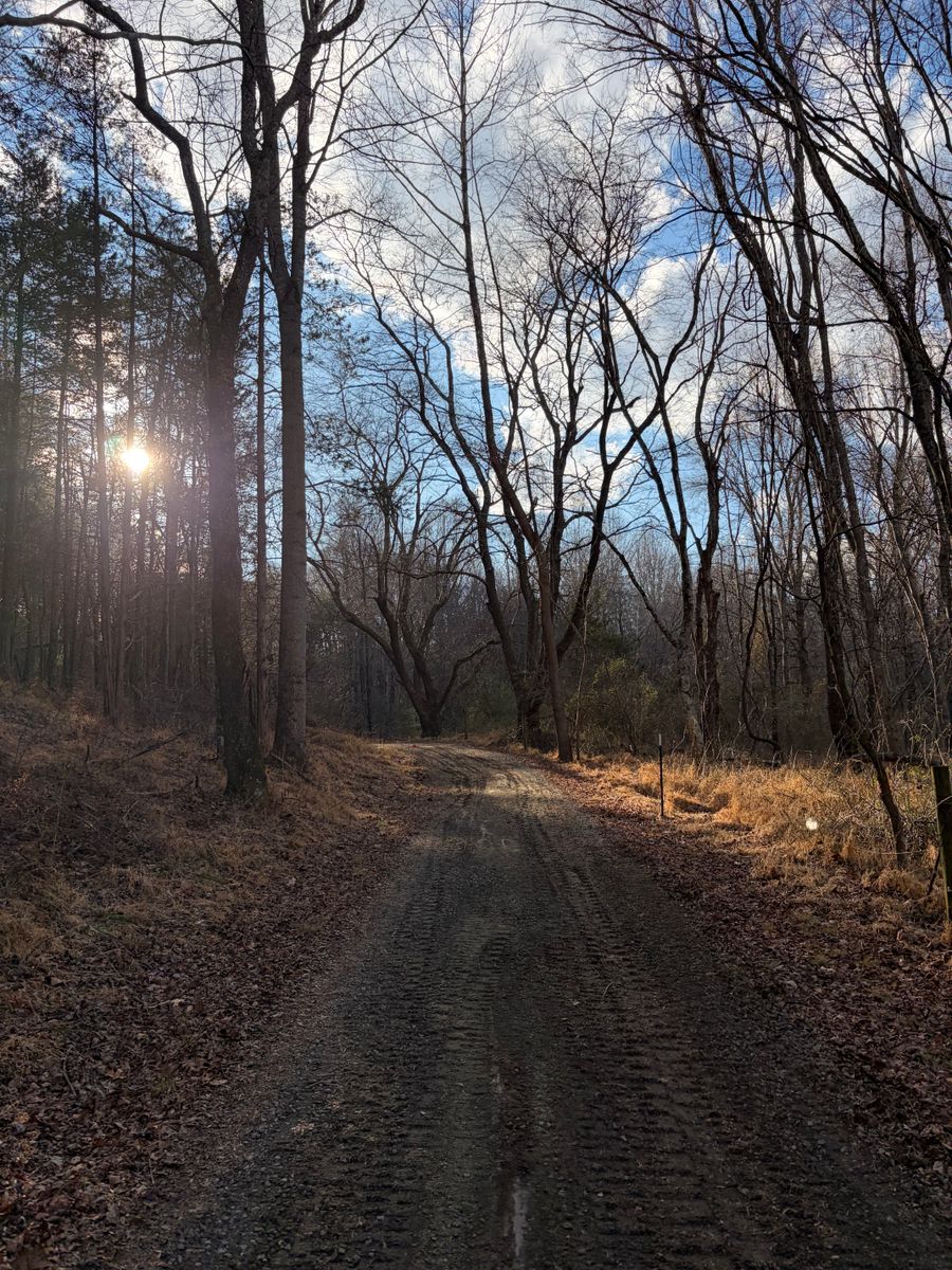 Site Prep for 9999 Building and Renovation LLC in Warrenton, VA