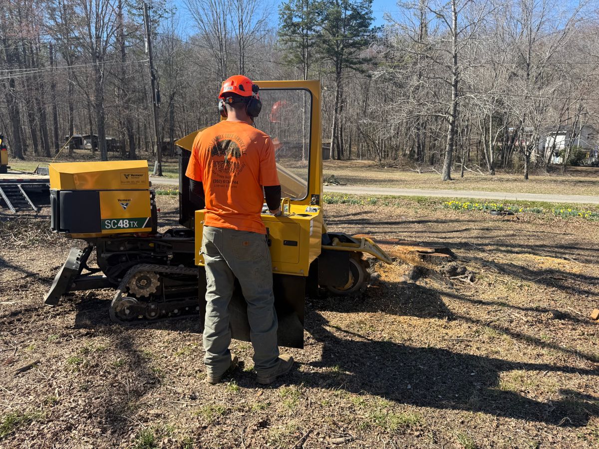 Stump Removal for Ross Family Tree Service LLC  in Hohenwald, TN