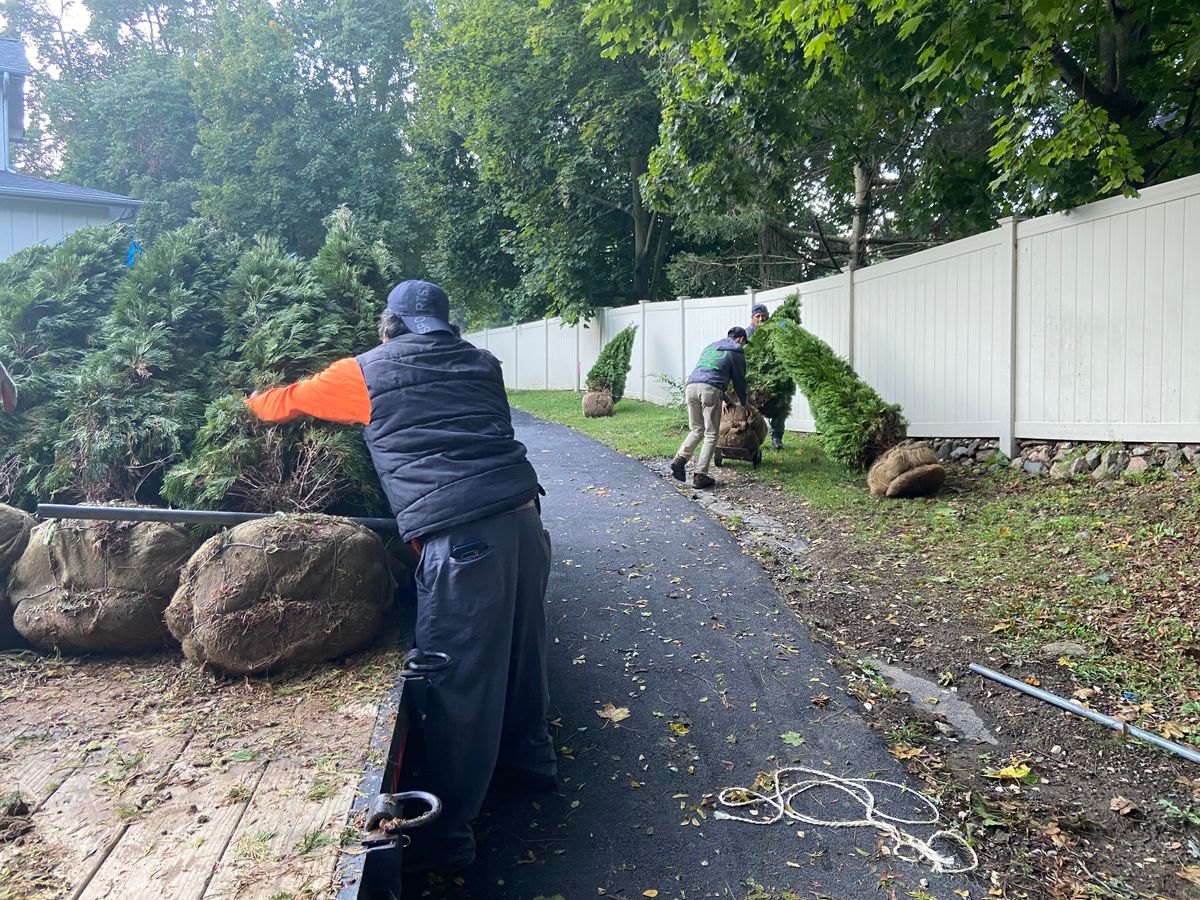 Fall Clean Up for Zaldivar’s Lawn Care INC  in Peekskill, NY