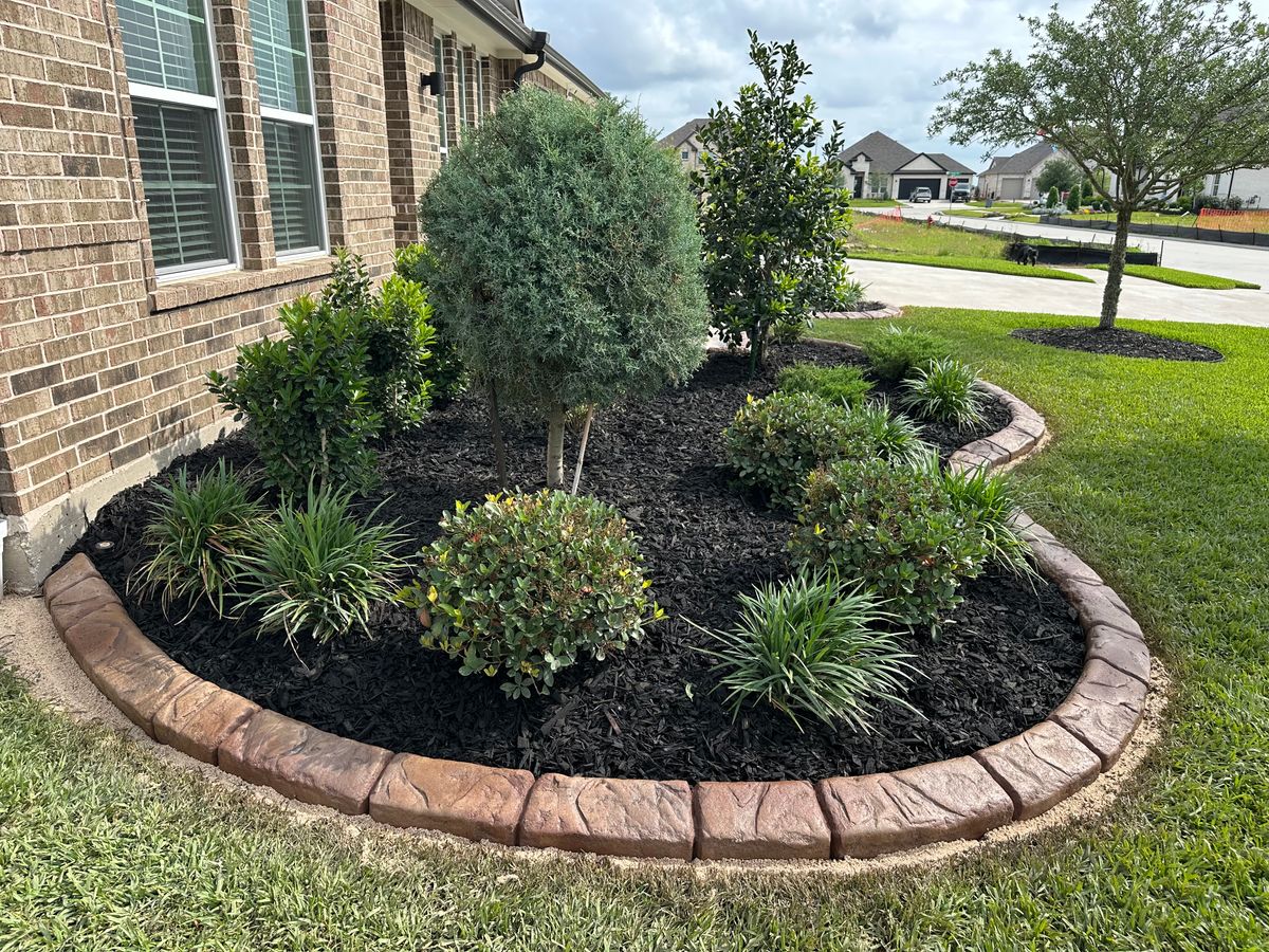 Landscaping for Texas Curb N Borders in Houston, TX