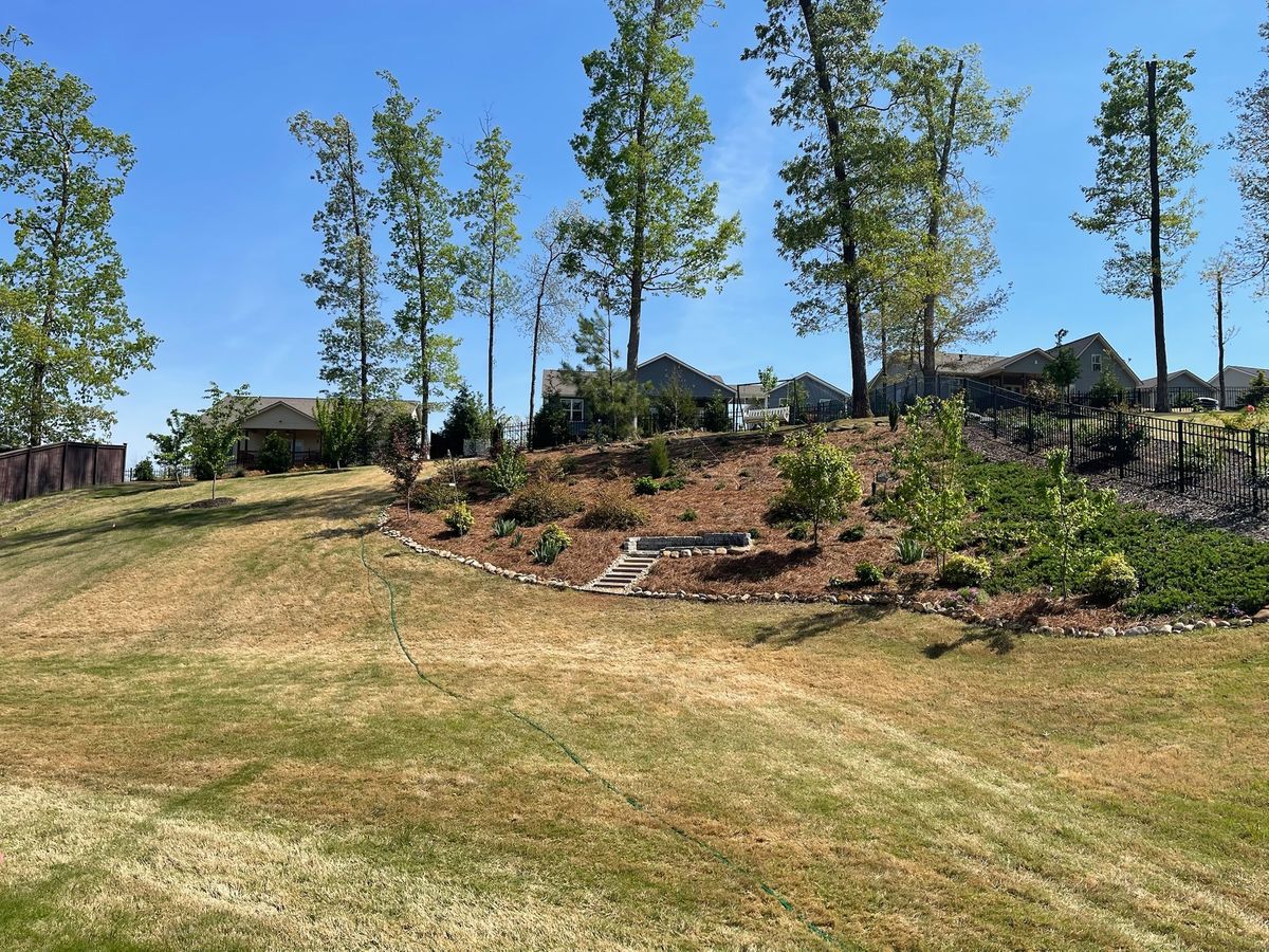 Tree Maintenance for Down To Earth Tree and Landscaping in Greenville, SC
