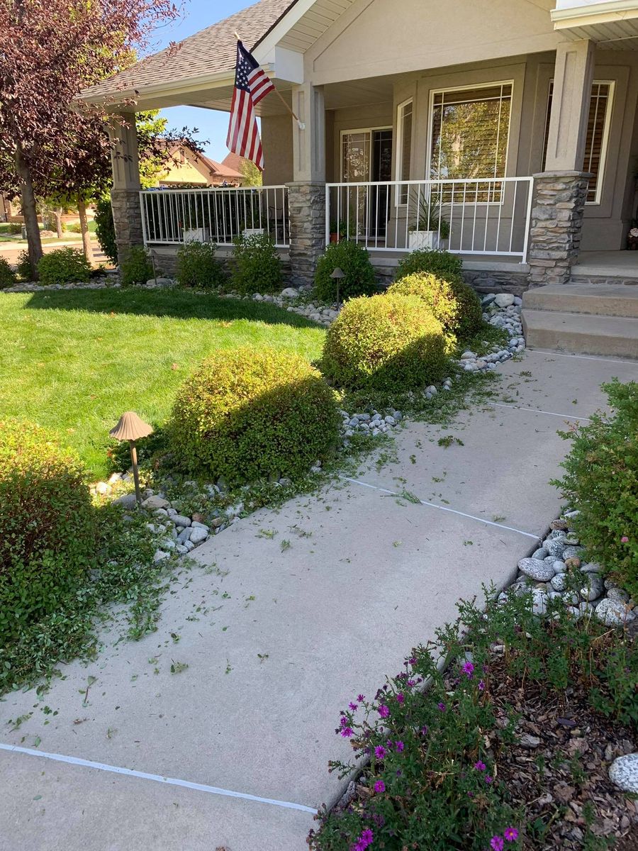 Tree & Shrub Care for Rock Masters Inc. in Evans, CO