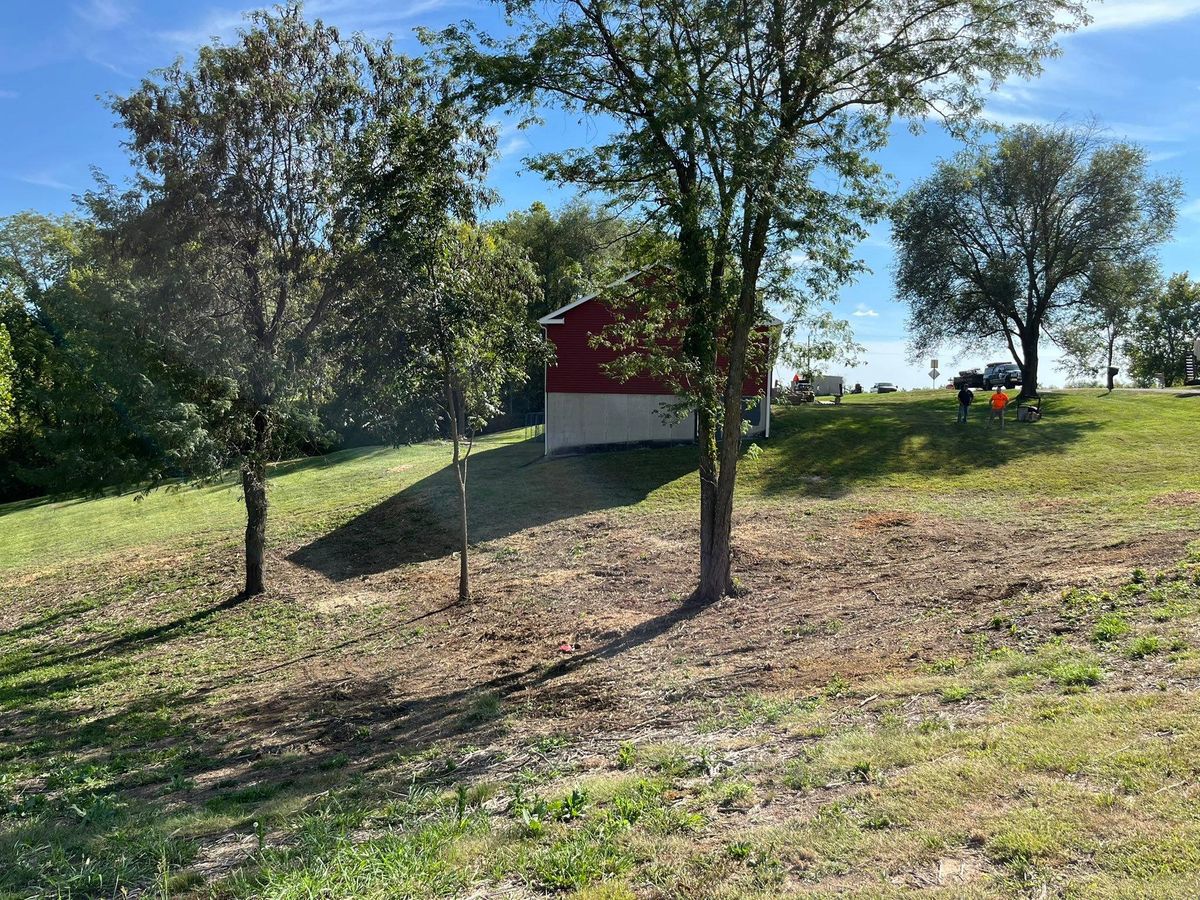 Land Clearing for Cross Family Tree Service in Kearney, MO