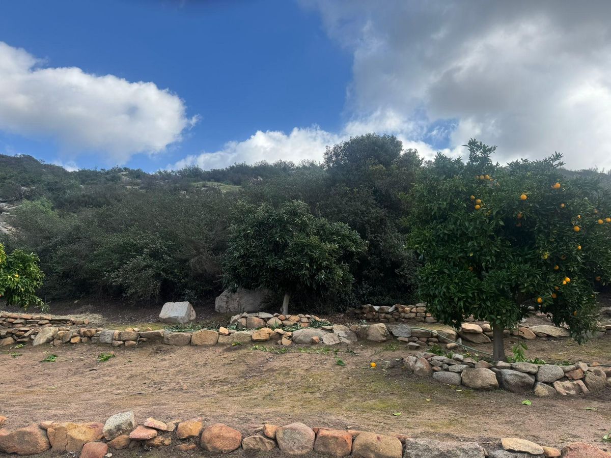 Property Beautification for The Tree Fairy in Julian, CA