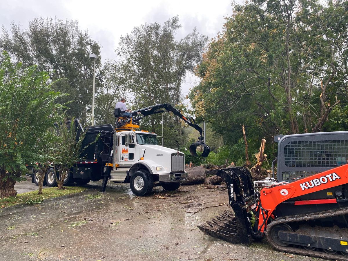 Tree Removal for 163 Property Maintenance in Hernando County,  FL