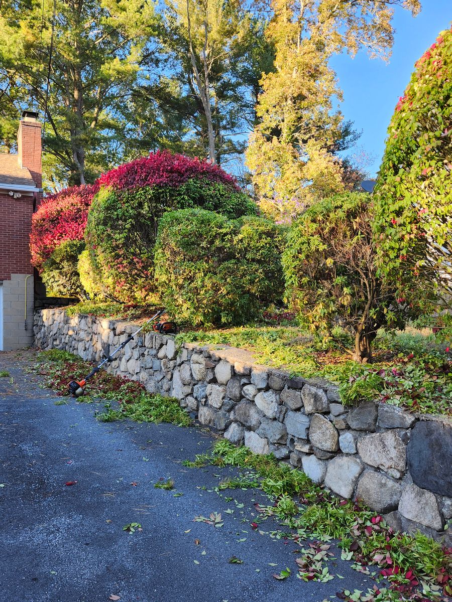 Landscape Installation for Landscape Innovations LLC in Torrington, CT