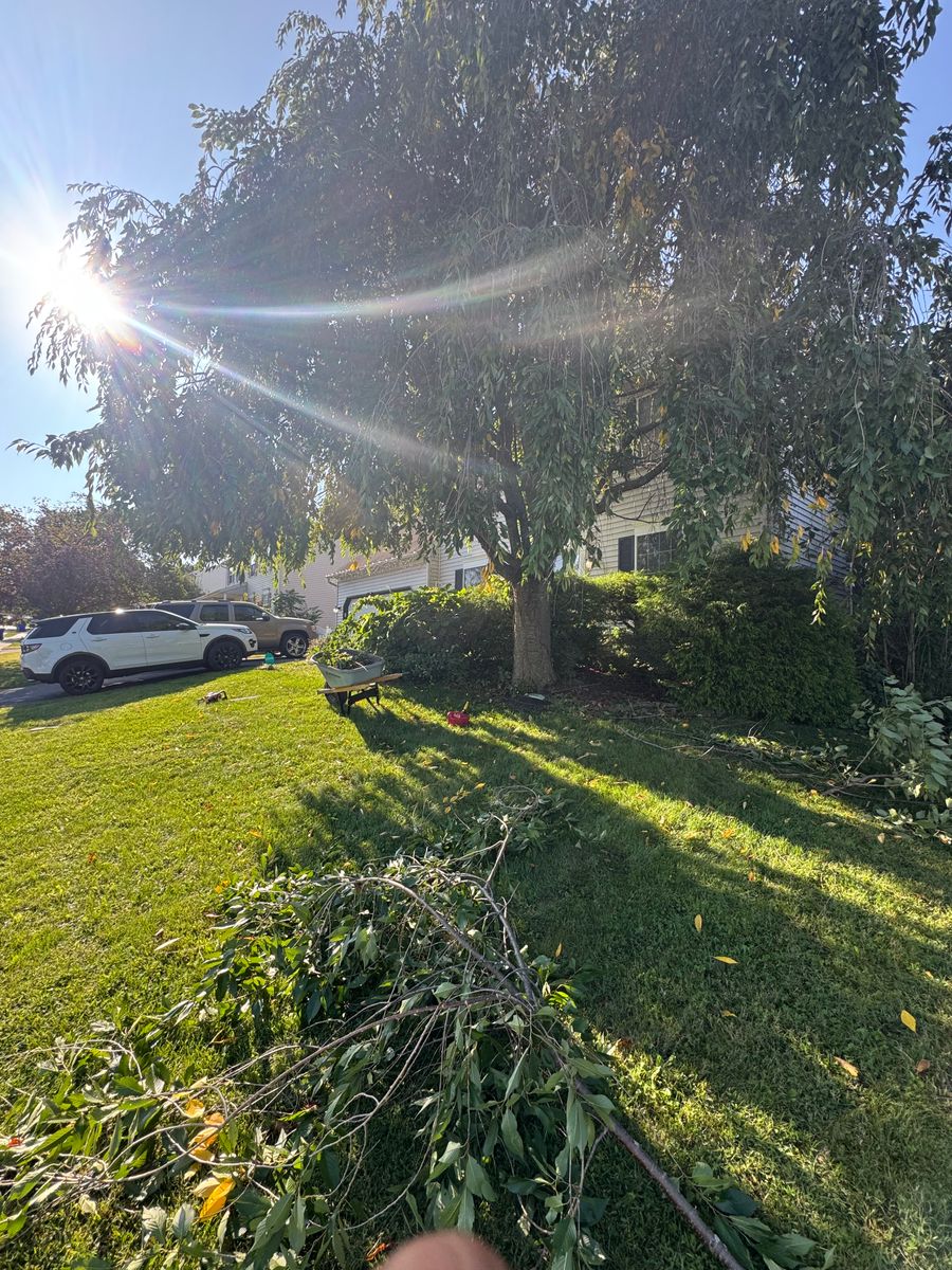 Fall Clean Ups for Landscape & Lawn Care Pros in Temple, PA