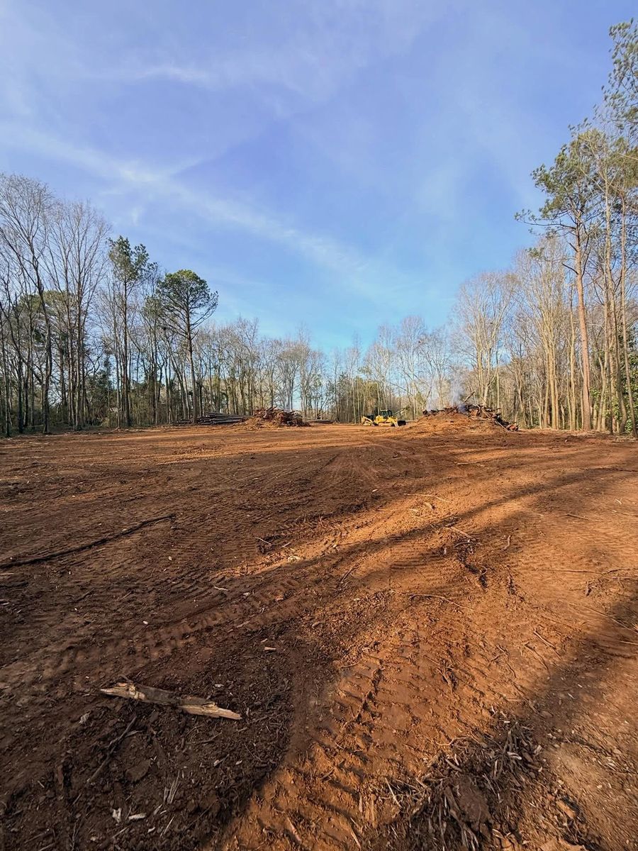 Stump removal for T Crane Grading LLC in Clarkesville, GA