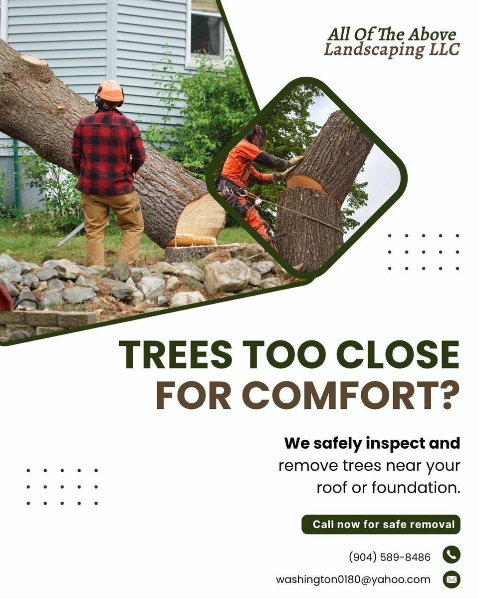 Tree Trimming & Removal for All of the Above Landscaping in Orange Park, FL