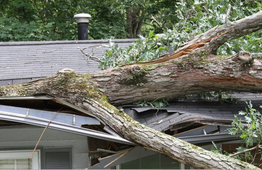 Other Services for Viva Roofing in Dallas, TX