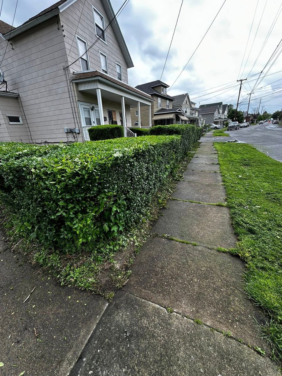 Shrub Trimming for Lopez Landscaping and Hardscapes in Scranton, PA