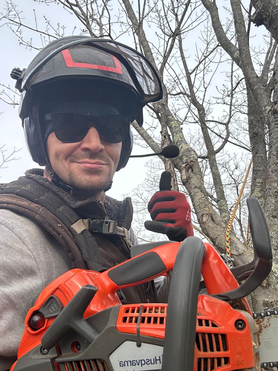 Tree Trimming for Leaf and Limb in Townsend, MA