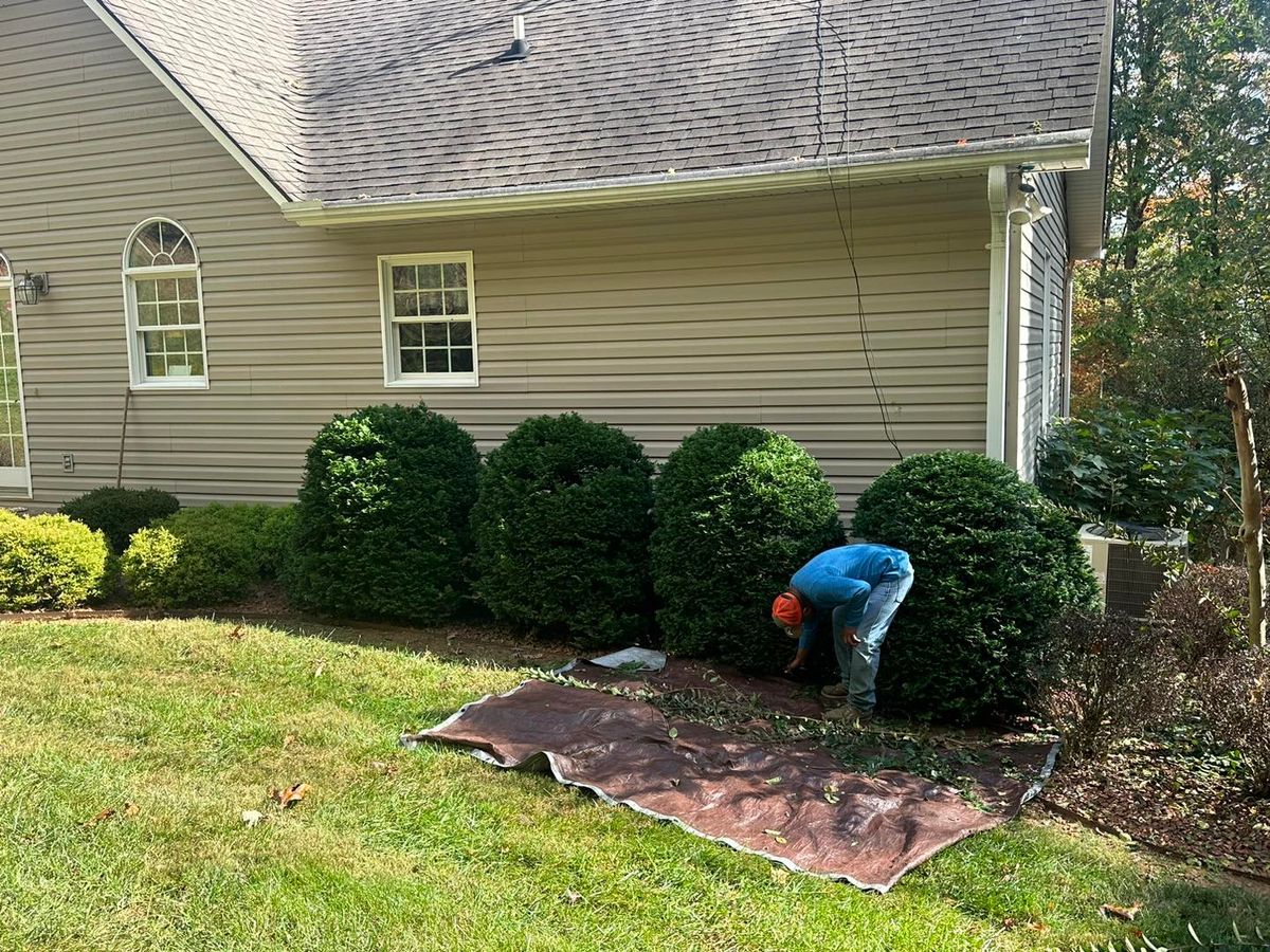 Mulching for Brixton’s Lawn Care in Wilkesboro, NC