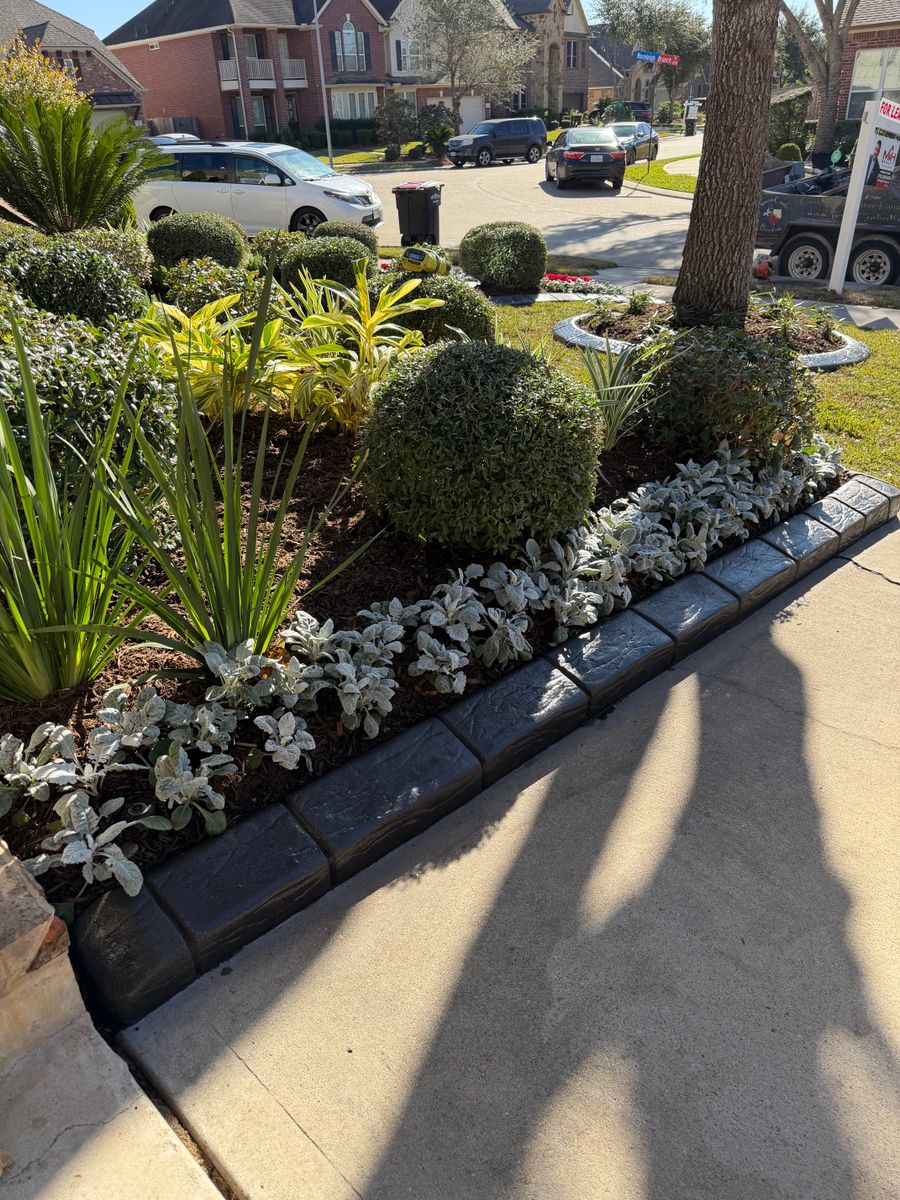 Landscaping for Texas Curb N Borders in Houston, TX