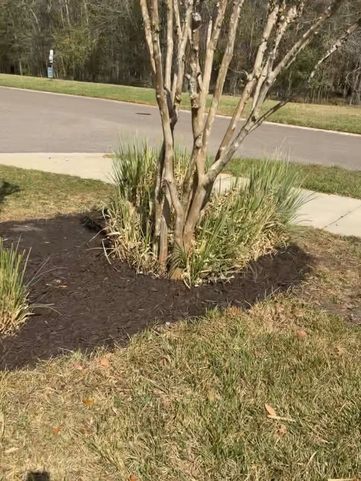 Mulch Installation for Whole 9 Yards Services LLC in Green Cove Springs, FL