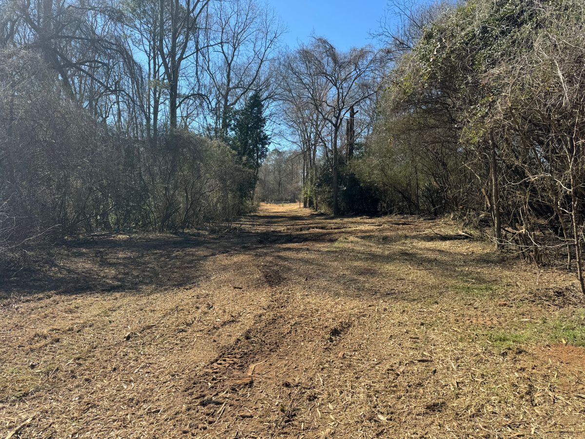 Forestry Mulching for KLNAX Enterprises Inc. in Social Circle, GA