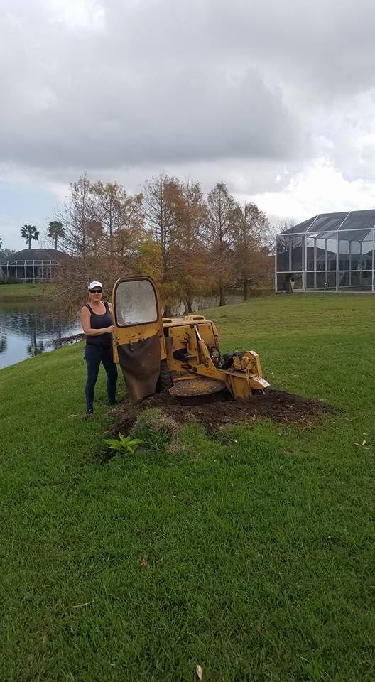 Stump Removal for Spruce Creek Tree Service in Port Orange, FL