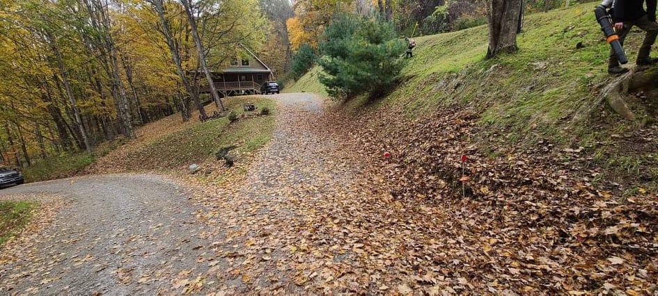 Fall Cleanup for Platas Landscaping & Tree Service in Clyde, NC