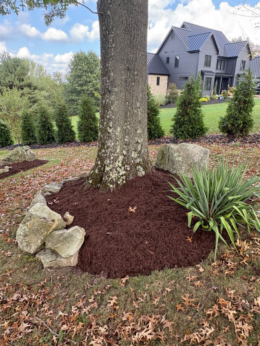 Spring & Fall Clean Up for Cam Yardz in Washington, PA