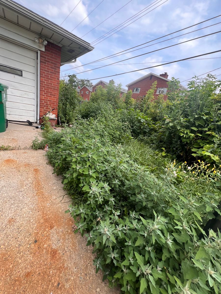 Land clearing for Alltimate Outdoor Services in Warren, MI