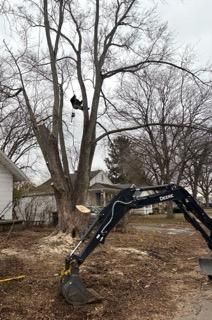 Tree Services for RNG Construction in Lafayette, IN