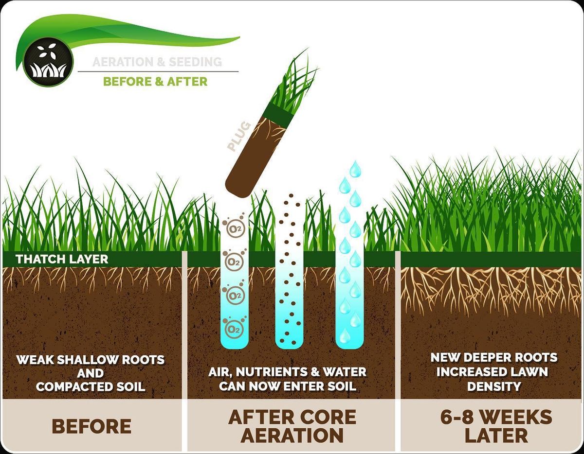  Core Aeration for Hauser's Complete Care INC in Lancaster, NY