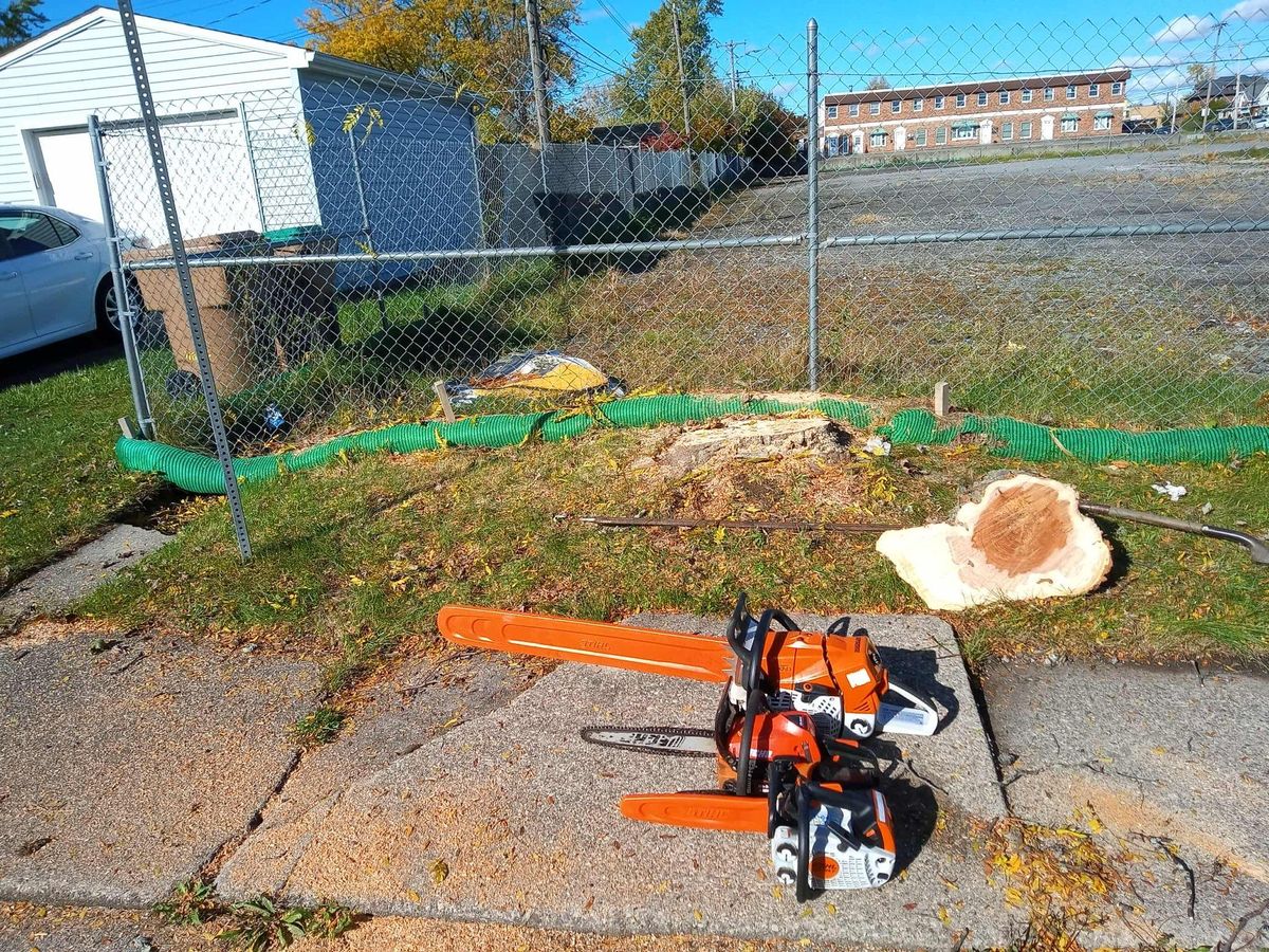 Spring/Fall Clean Up for Hauser's Complete Care INC in Lancaster, NY