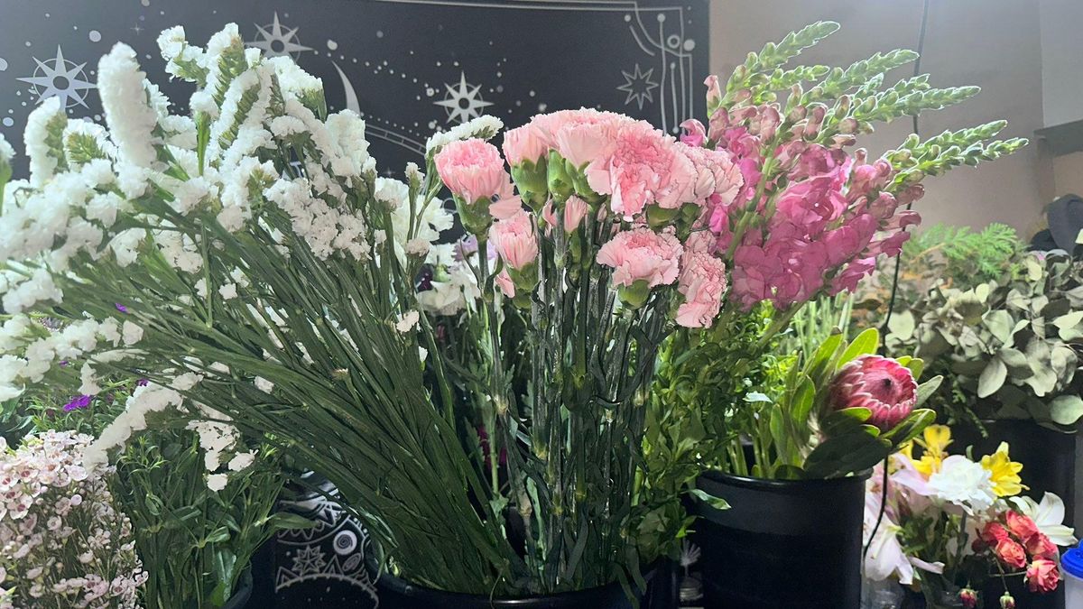 Friday Special Bouquet for The Dailey Daisy in Hardwick, VT