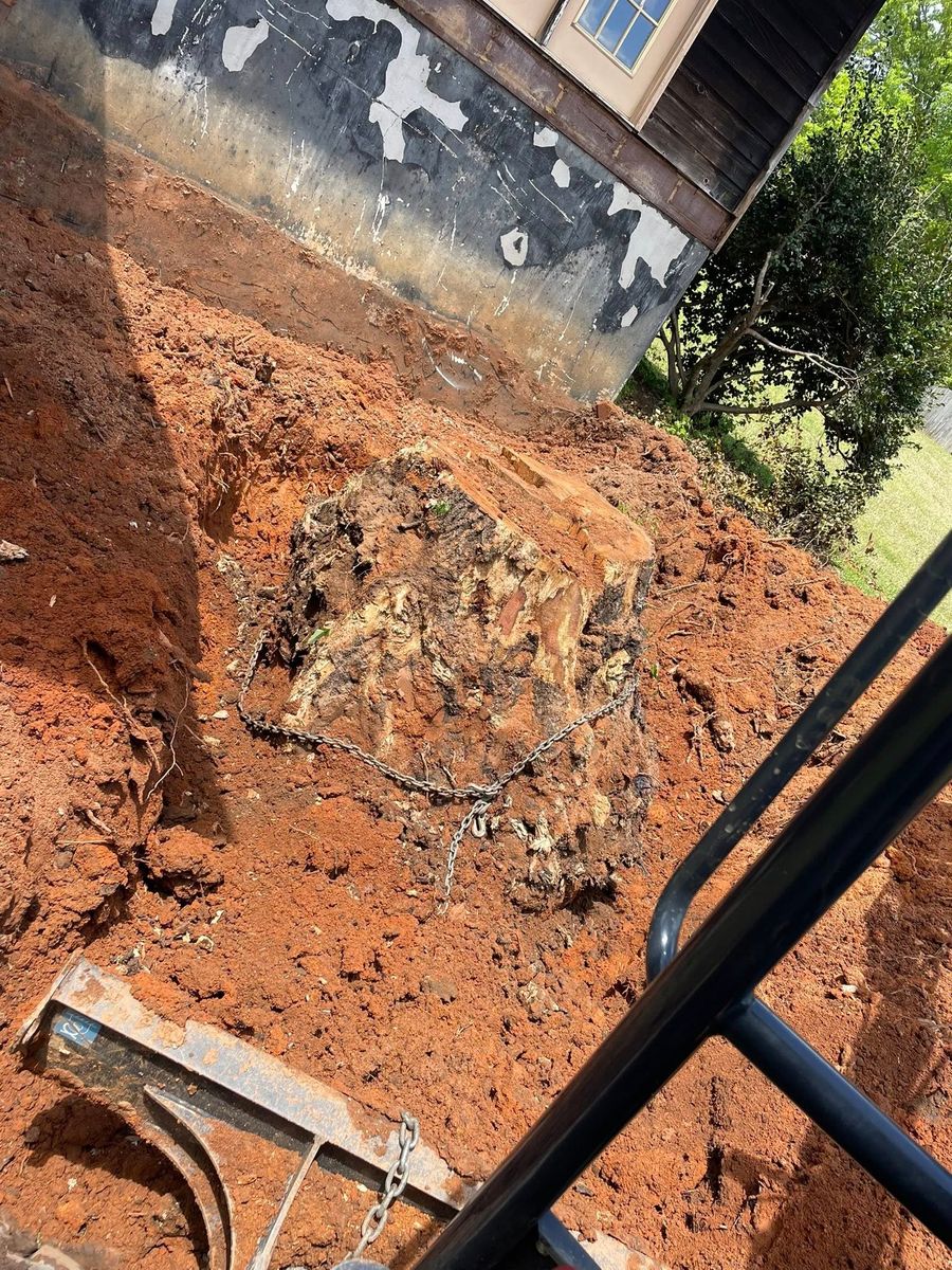 Stump Removal for J&J Hauling and Outdoor in Fayetteville, GA