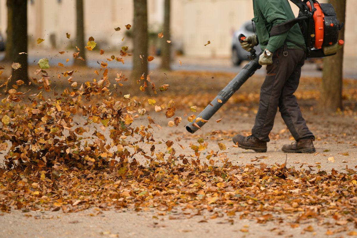 Leaf Removal for M&M Lawn Care in Sterling, VA