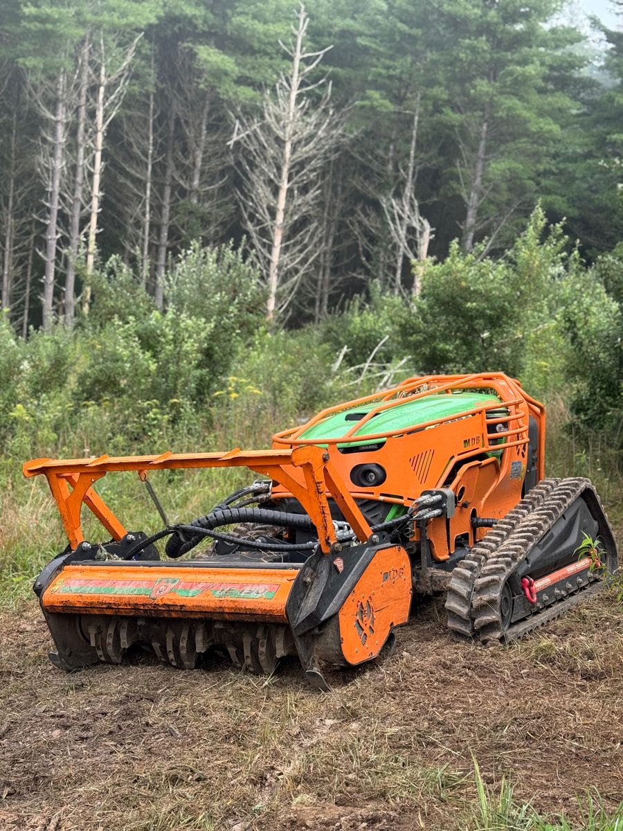 Vegetation Removal // Brush Removal for Mountain Goat Land Management in Galax, VA