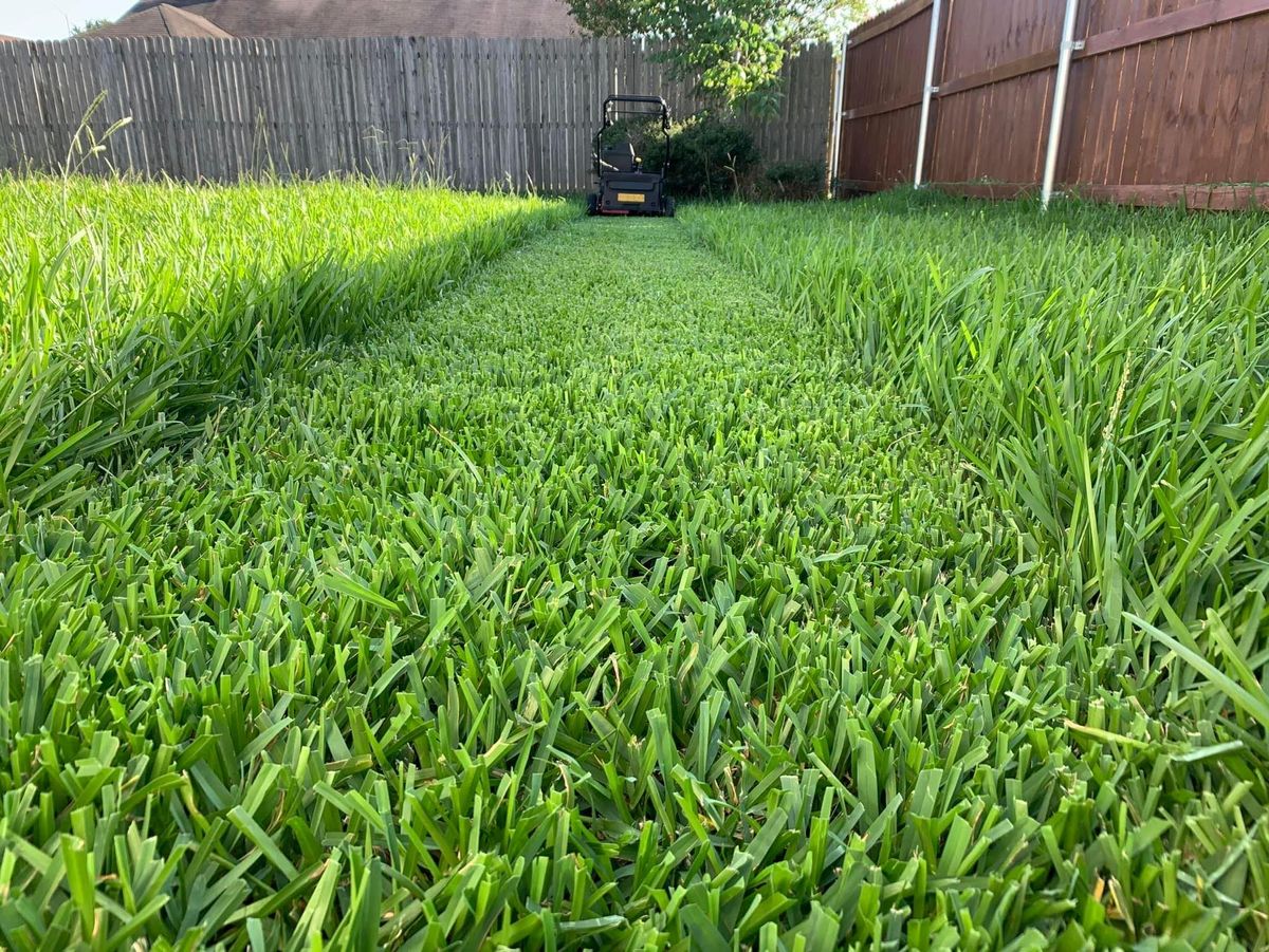 Lawn Maintenance for JLP Home & Commercial Services, LLC in College Station, Texas