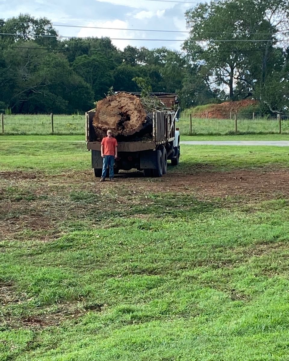 Land Clearing for Lakeside Tree Experts LLC in Hartwell, GA
