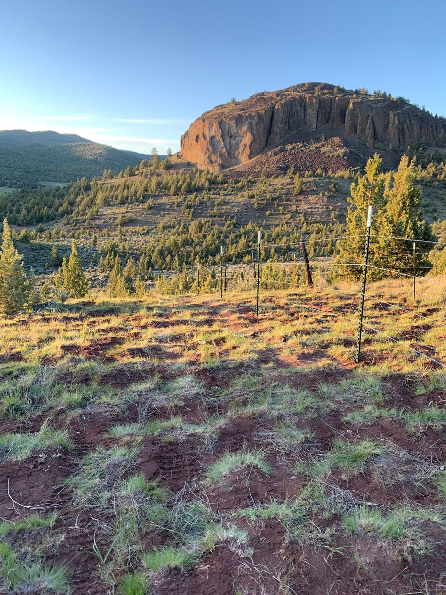 Barbed Wire Fencing for All ‘Round Boys in Prineville, OR