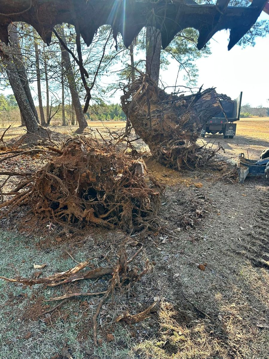 Stump Removal for Page Outdoor Services in Wrightsville, GA