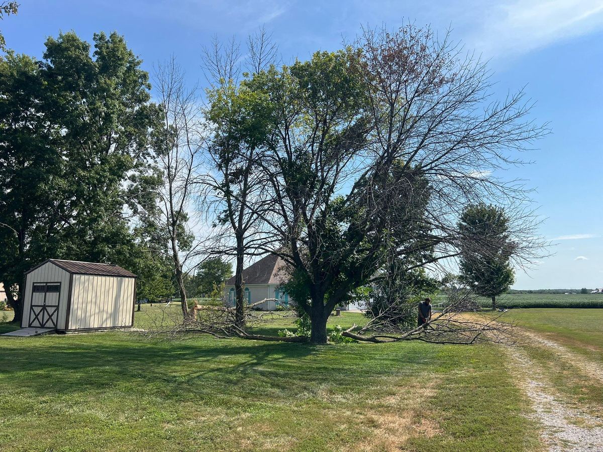 Property Clean Up for Baker Professional Services LLC in Shelbina, MO