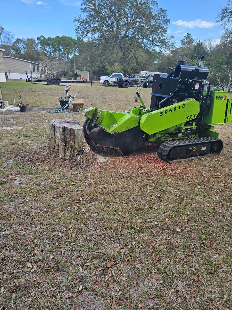 Stump Grinding for Stumps done right LLC in Middleburg, FL