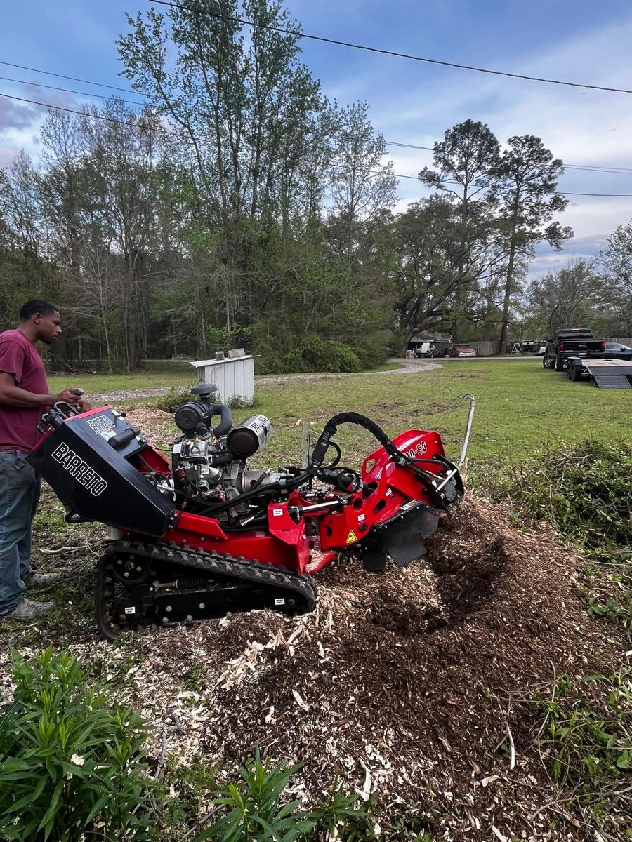 Mulching/Tree Removal for Gonzales Construction in Picayune, MS