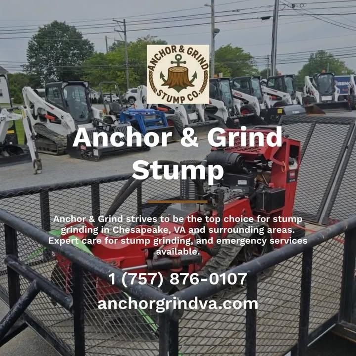 Stump Grinding for Anchor & Grind Stump in Chesapeake, VA