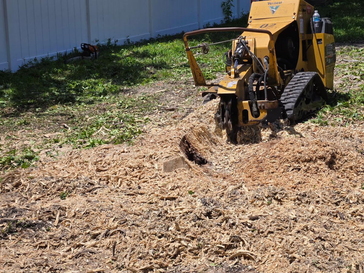 Stump Removal for Near Me Tree Service, Inc. in DeLand, FL