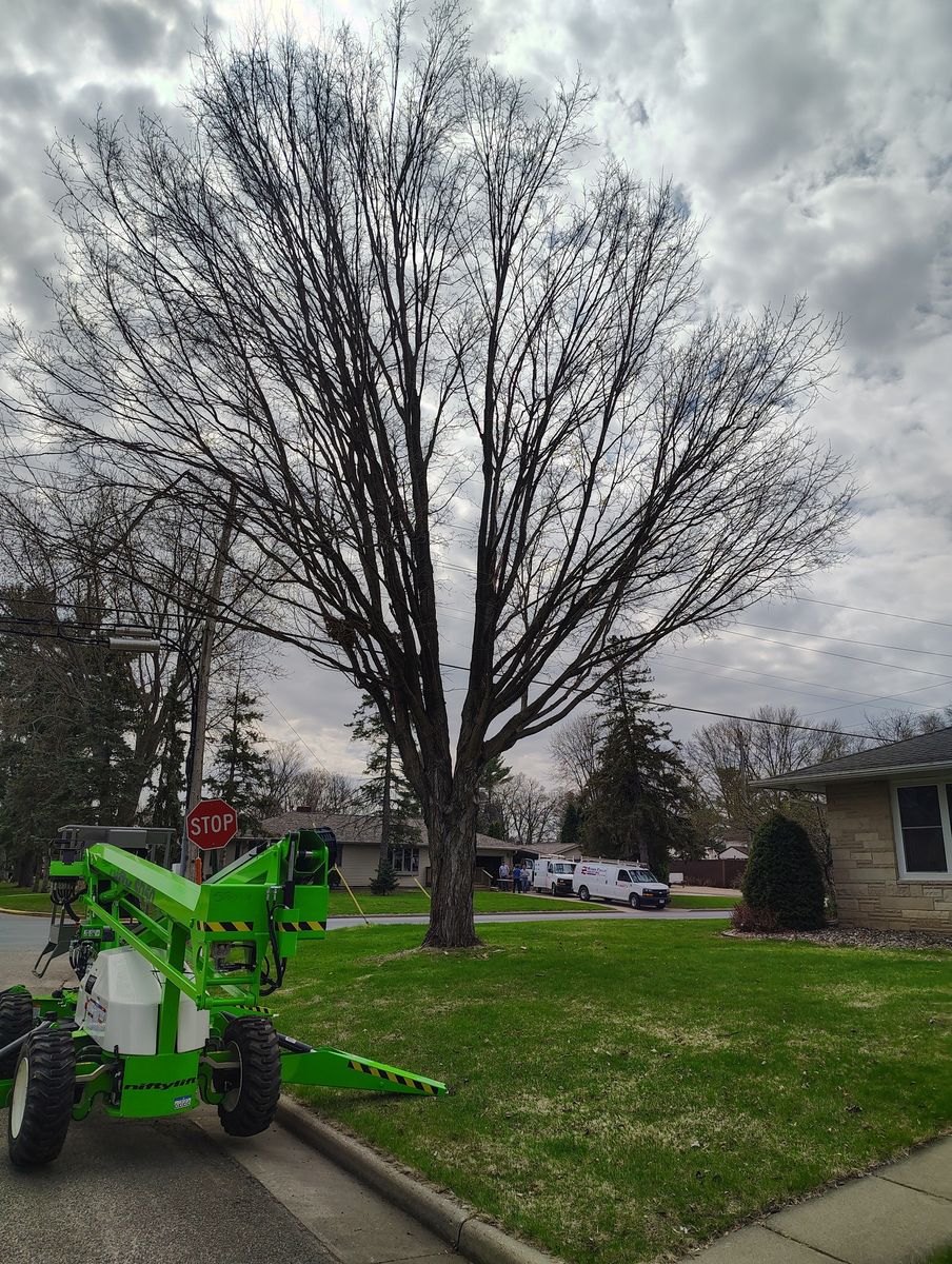 Tree Trimming for Big River lawn Care services and snow LLC in Wausau, WI