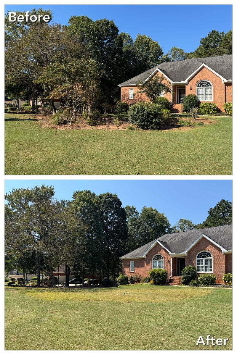 Brush Cutting and Removal for Fayette Property Solutions in Fayetteville, GA
