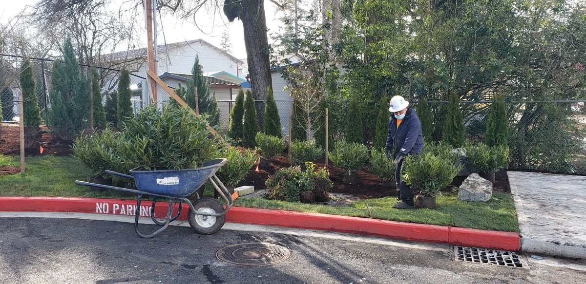 Hardscape Cleaning for Macmor Inc. in Puyallup, WA