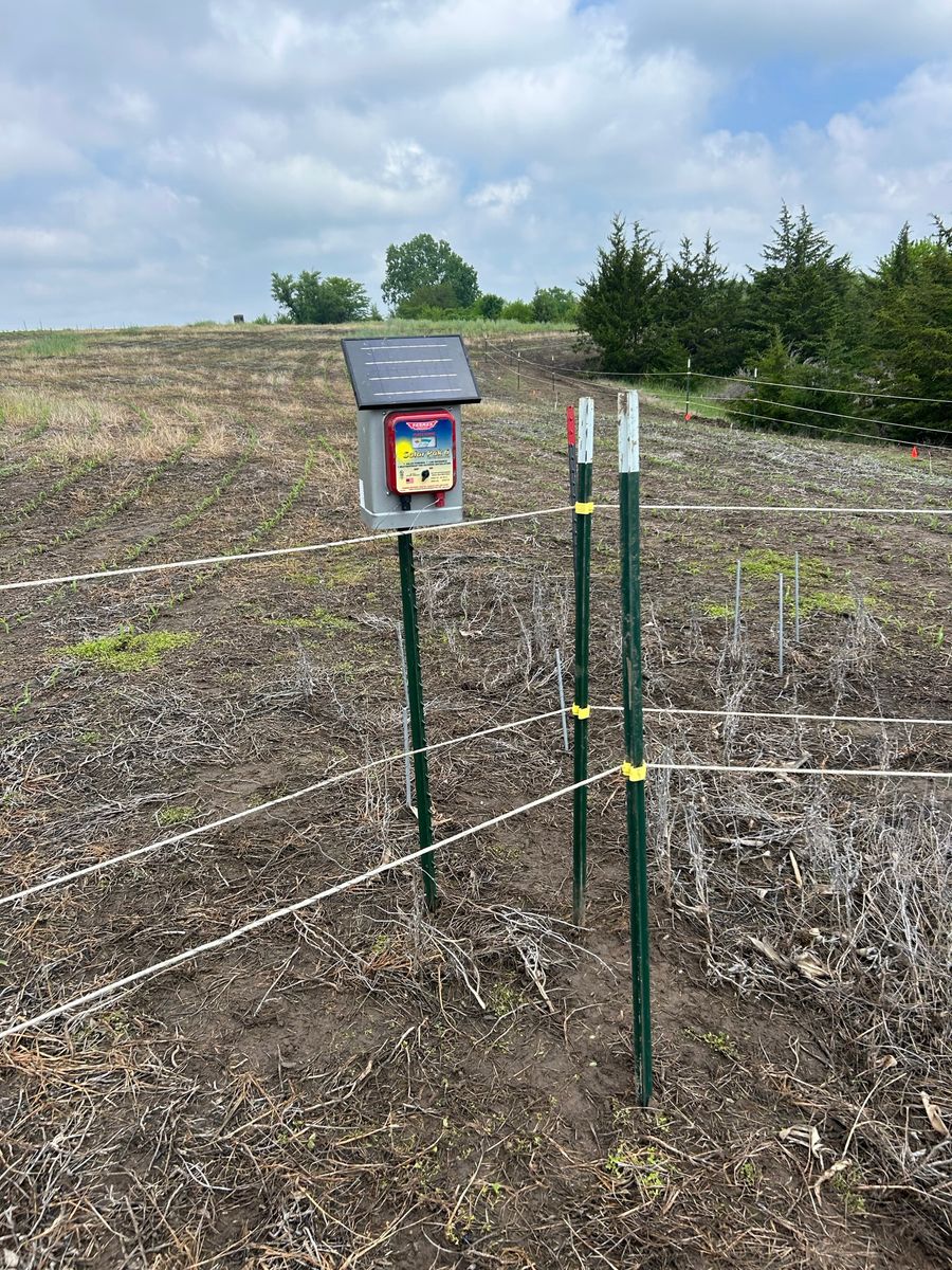 Trail Camera Upkeep for Two Young Bucks in Leon, IA